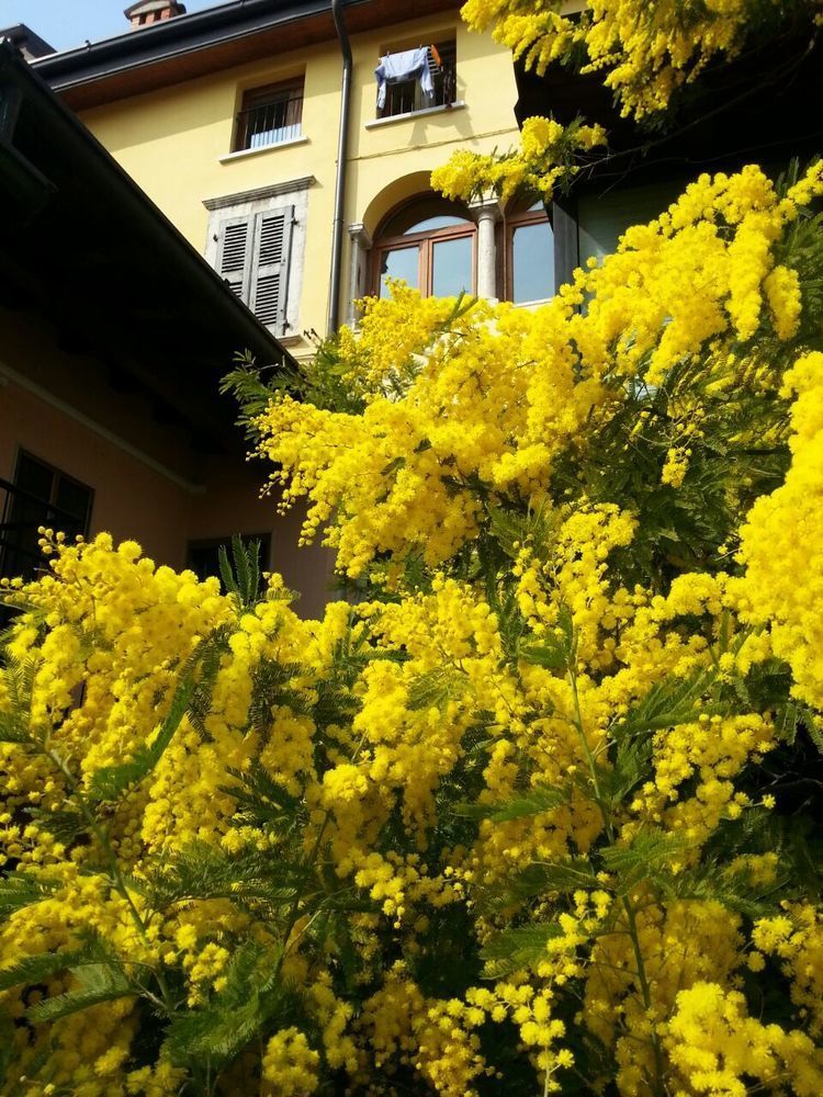 Omas Haus Villa Toscolano Maderno Exterior foto
